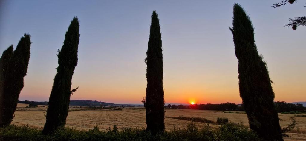 Agriturismo Il Canneto Casole dʼElsa المظهر الخارجي الصورة