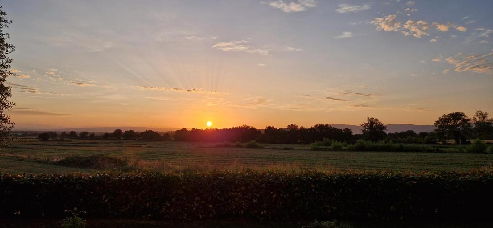 Agriturismo Il Canneto Casole dʼElsa المظهر الخارجي الصورة